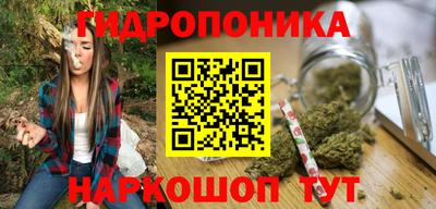 прущие грибы Пушкино