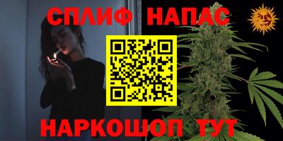 прущие грибы Пушкино