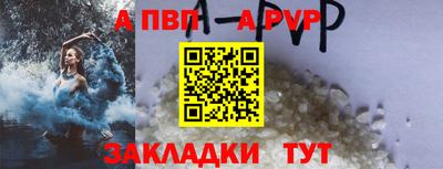 прущие грибы Пушкино