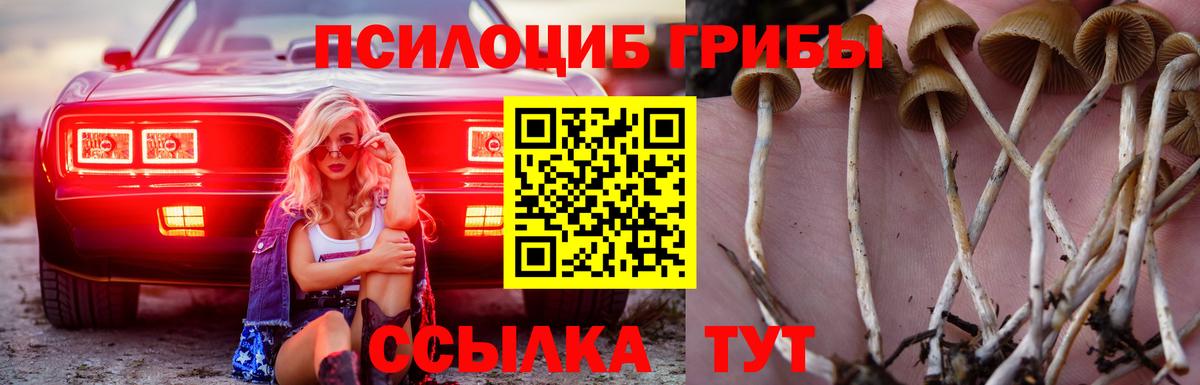 Галлюциногенные грибы ЛСД Санкт-Петербург
