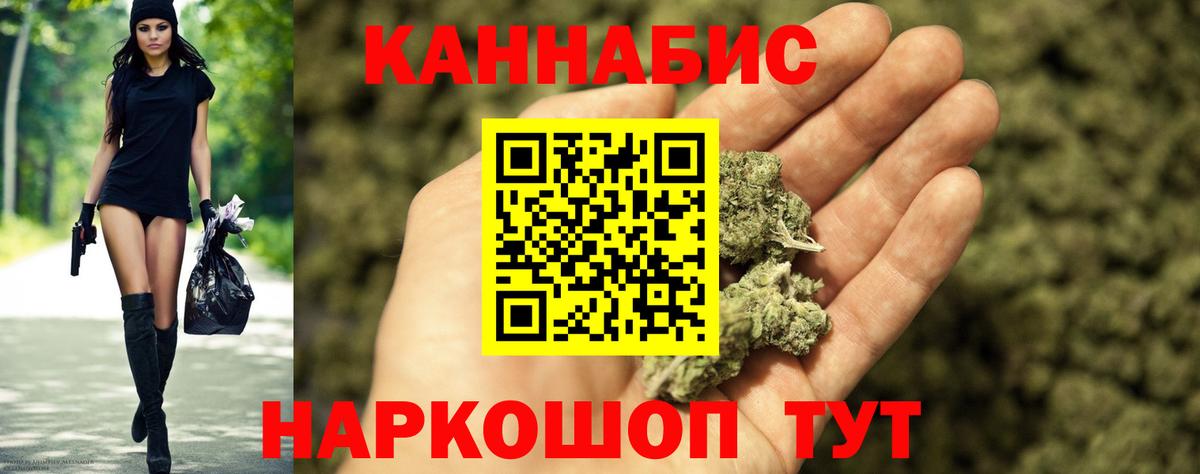 Шишки марихуана план Санкт-Петербург