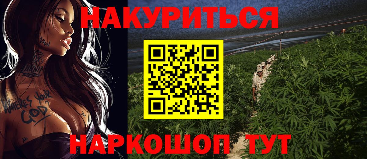 Санкт-Петербург  Конопля Bruce Banner  Вход с VPN  Каннабис сатива 